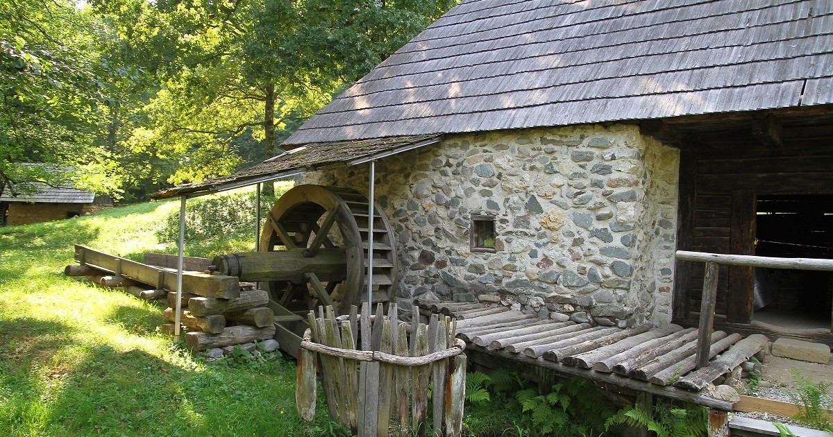 Arhiva foto