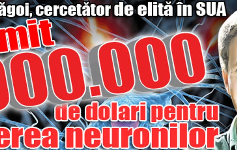 Un român a primit 7.000.000 de dolari pentru studierea neuronilor