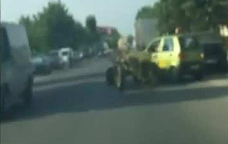 Goană nebună pe străzile din Târgovişte! Un cal legat la o căruţă a lovit şapte maşini 
