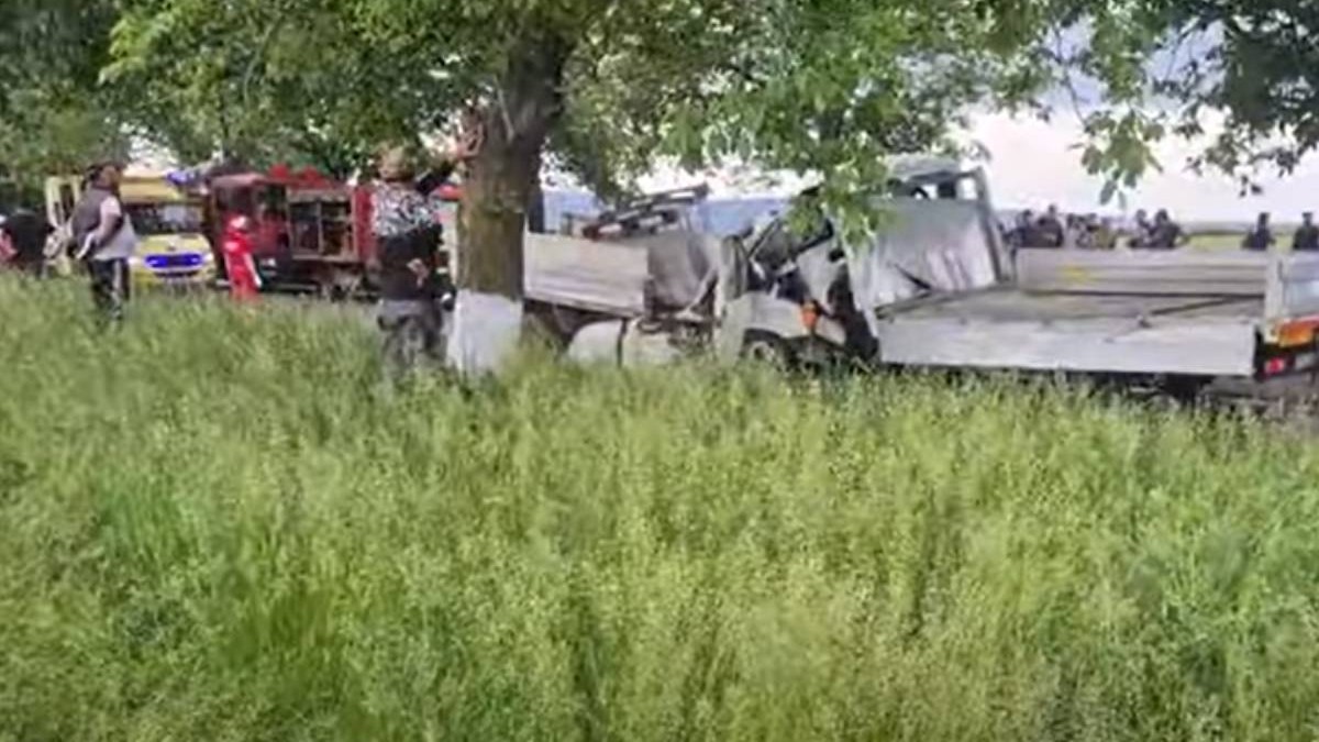 Poză cu autoutilitarele implicate în accidentul din județul Vrancea
