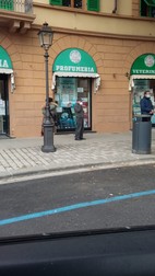 În așteptarea autobuzelor, locuitorii orașului Florența - echipați cu mănuși și mască -, păstrează distanța socială de doi metri