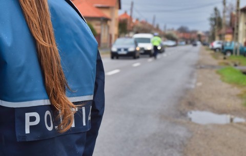 Mai multe autoturisme oprite pe margine unui drum dintr-un sat, sunt verificate de un polițist. În același timp, o polițistă dirijează circulația