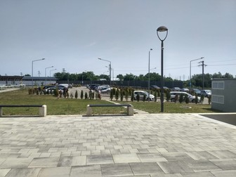 Arhiva foto