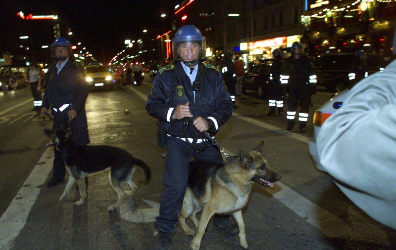 Fotbalist, mușcat de un câine-polițist în timpul unui meci