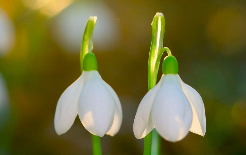 Prognoza meteo pe trei luni. Cum va fi vremea în perioada februarie-aprilie