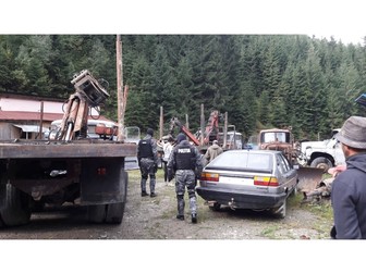 Percheziții în Maramureș, la hoții de lemne, pe 5 septembrie 2017