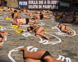 epa07696845 Anti bullfighting protesters in a PETA (People for the Ethical Treatment of Animals) protest against the treatment of fighting bulls, or 'toros bravos', as PETA holds a demonstration in the Town Hall Square in Pamplona, northern Spain, 05 July 2019. The famed Fiesta de San Fermín begins tomorrow and last for eight days in which six fighting bulls are run through the streets every morning and then are killed in a bullfight, or 'corrida,' later that same day. EPA-EFE/JIM HOLLANDER
