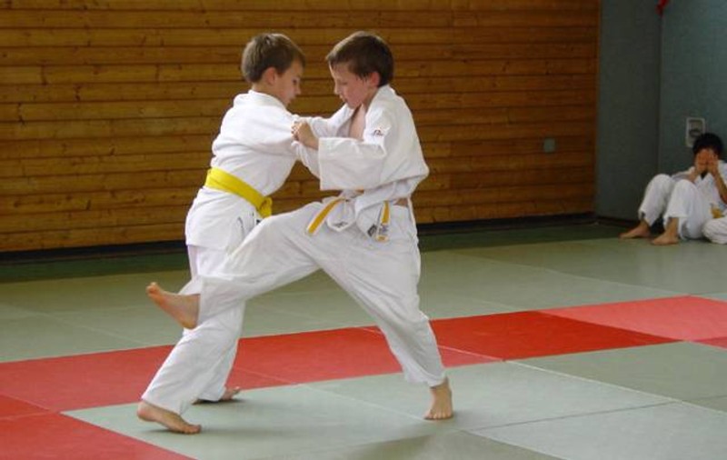 Copilul care a fost trântit de 27 de ori la pământ, în timpul unui antrenament de judo, a murit