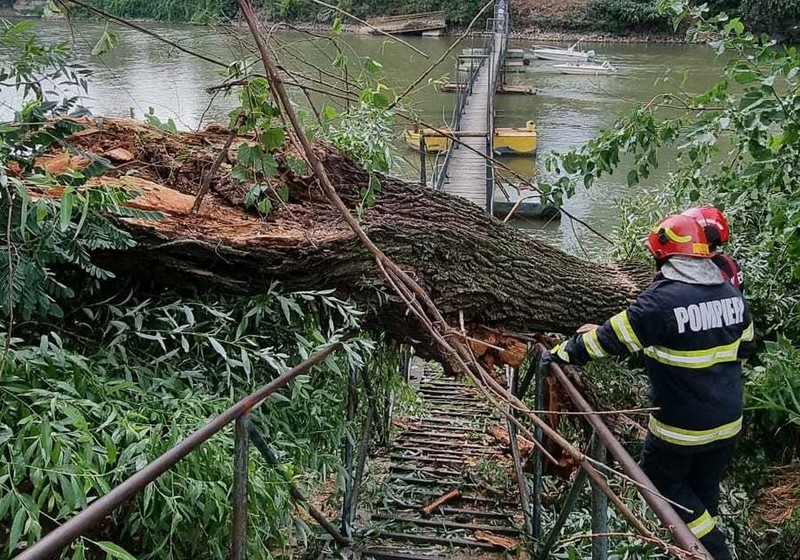 Pompierii au intervenit la Arad (Foto: ISU)