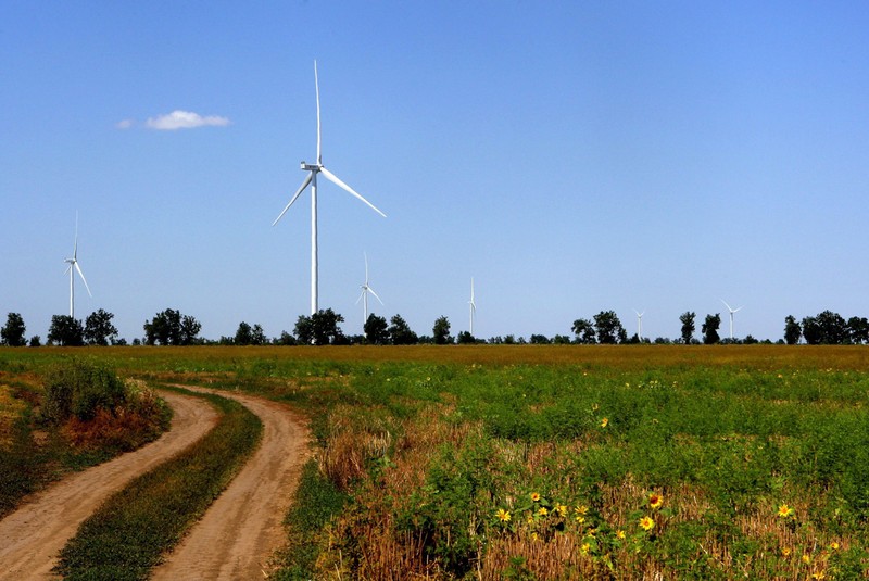 Reconstrucția Ucrainei ar putea fi o oportunitate pentru un salt tehnologic către o economie mai verde. În imagine, turbine eoliene în apropiere de Odesa, în august 2021 | Foto: Profimedia
