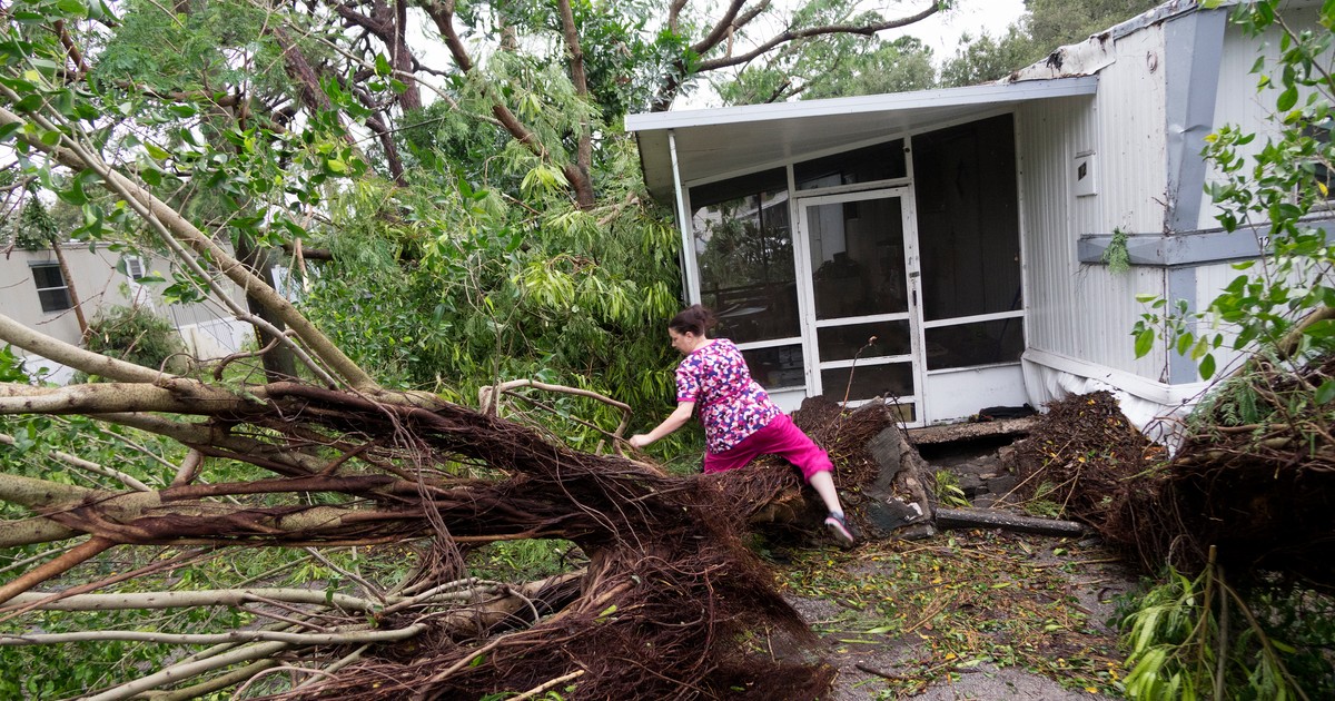 Uraganul Matthew a dărâmat copacii și a provocat pagube și în Miami