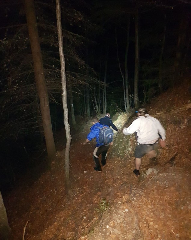 Doi turişti care s-au întâlnit cu un urs pe un traseu din Bucegi au stat o oră căţăraţi într-un brad