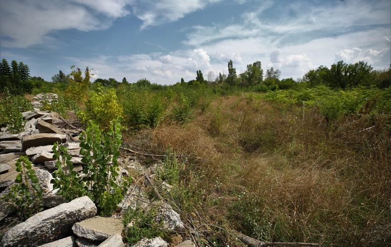 Ce spun dezvoltatorii imobiliari despre cele cinci hectare pe care le dețin în Parcul Grozăvești: „Le cedăm, dacă Primăria face o ofertă justă”